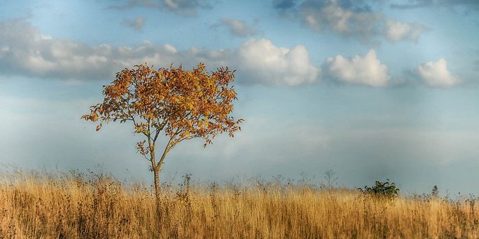 Get ready for it to be hotter and drier