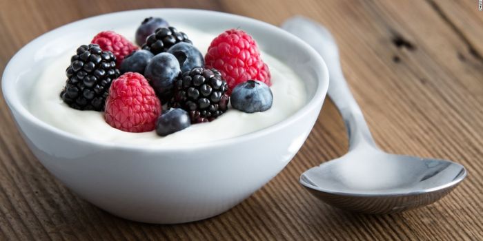 Yogurt Isn't Just a Probiotic - Its Unique Proteins Kill Bad Bacteria