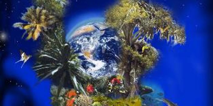 Long-Held Biodiversity Theory Challenged With New Study 