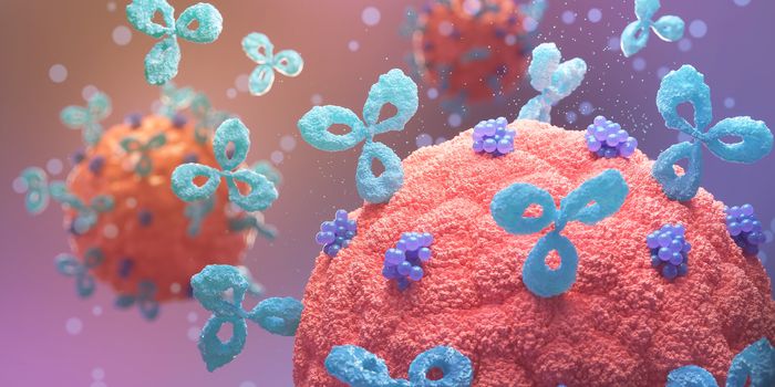 Model Systems for Cancer Research
