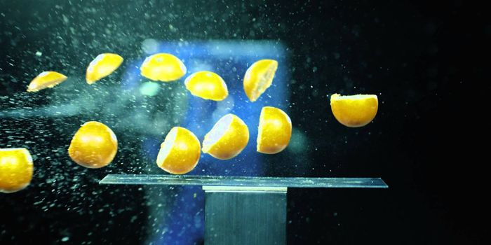 Watch This Advanced Robotic Arm Face Off Against a Master Katana Swordsman