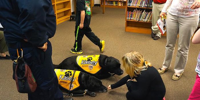 Stop, Drop and...Drool?