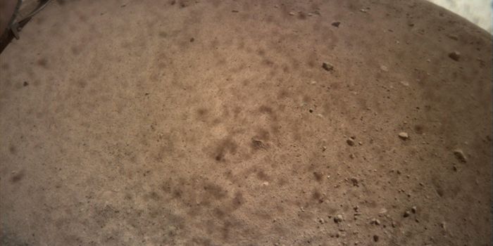NASA is Learning More About InSight's Landing Site Post-Landing