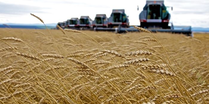 Russia's agricultural revolution