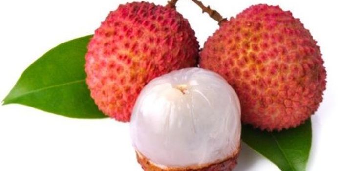 The Nutritional Value Behind the Lychee Fruit
