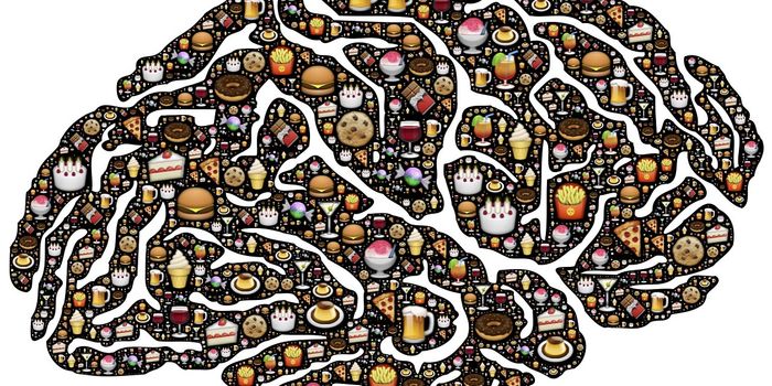 Your Brain on Natural vs. Added Sugar