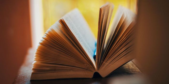 Lonely People Process Fictional Characters Like Real Friends in the Brain