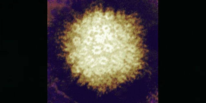 Could Common Viruses be Triggering Alzheimer's?