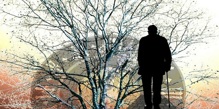 Despite Mercury, Fish Protects The Brain