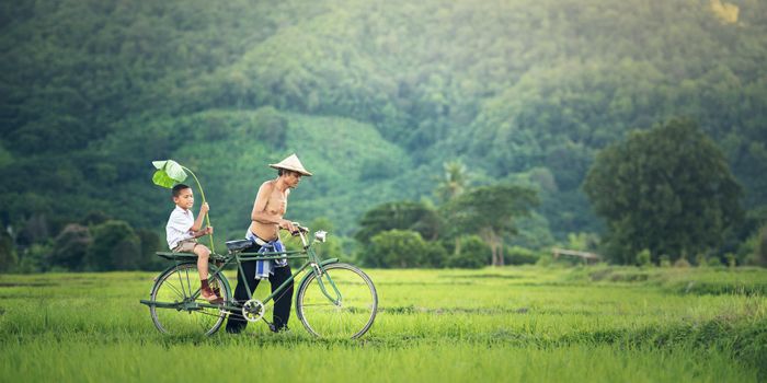 You Know about Dad Bod, But What about Dad Brain?