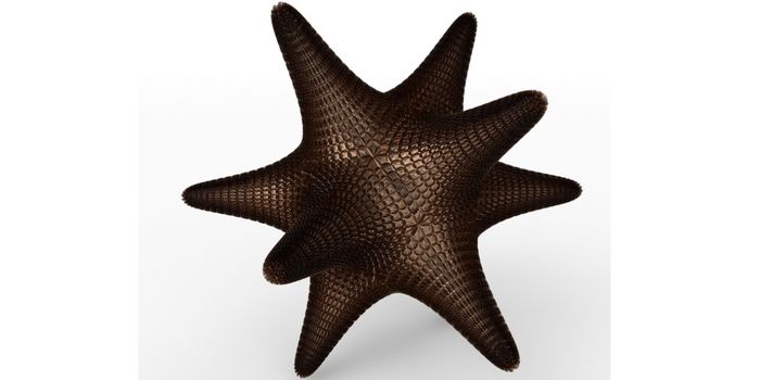 Using Deep Learning to "Hallucinate" New Proteins