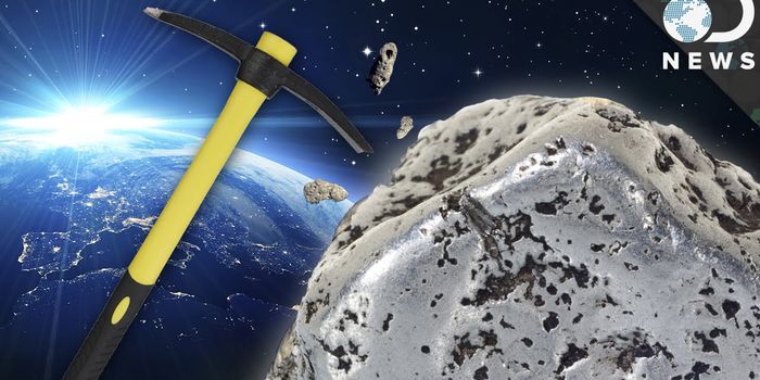 Just how much will it cost?