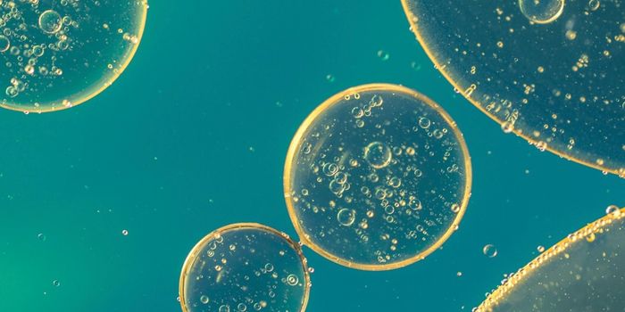 Exposure to Drugs has a Long Term Impact on the Microbiome