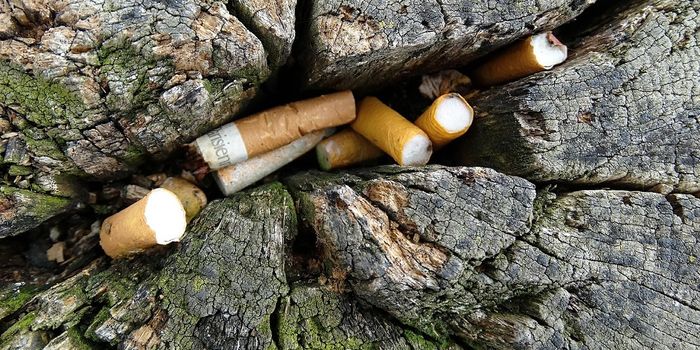 The Environmental Damage of Cigarette Litter