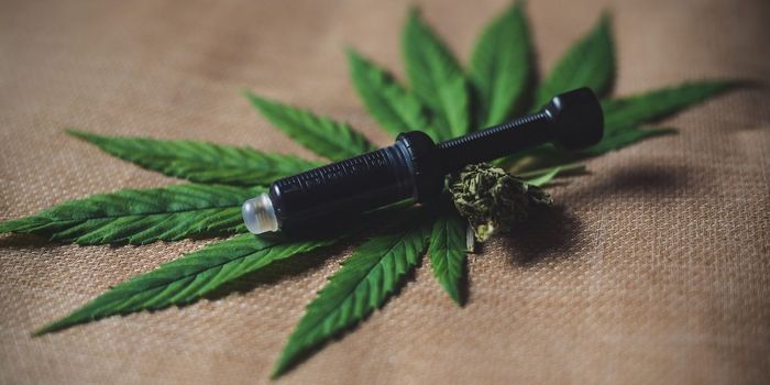 Public Believes CBD is Cure-All Despite Lack of Evidence