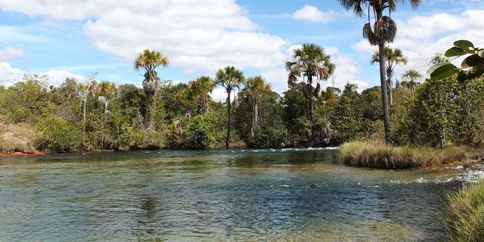 Weekend Flooding in Brazil Bursts Two Dams