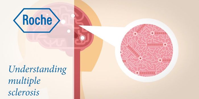 Information about Multiple Sclerosis and the Brain