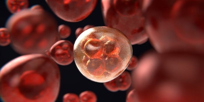 Tracking Down Biomarkers for Bladder Cancer Using Mass Spectrometry