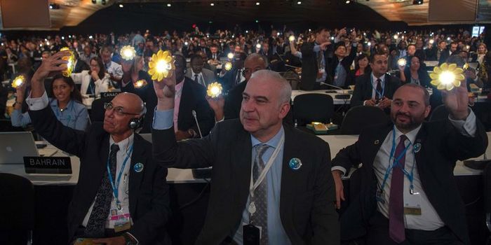 Global Companies Encourage Trump to Stick to the Paris Climate Agreement