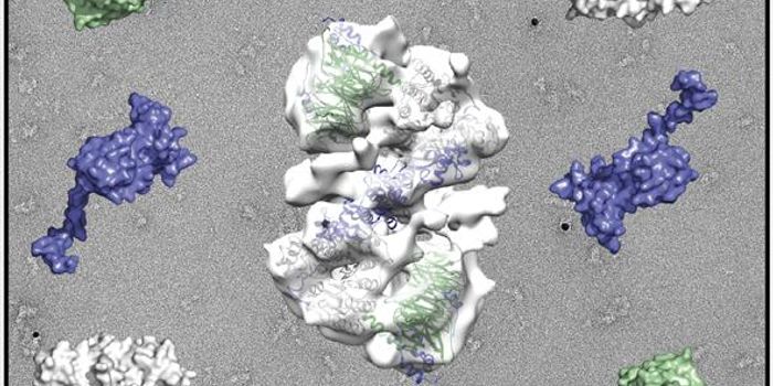 3D NuRD Complex Related to Cancer Progression