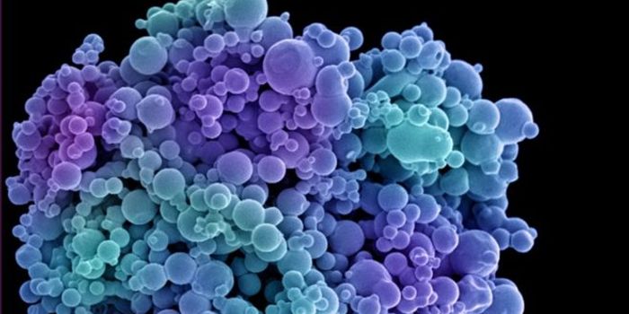 A Heat-Activated Cancer 'Grenade'