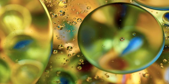 Can Imbalances in the Gut Microbiome Cause Parkinson's Disease?