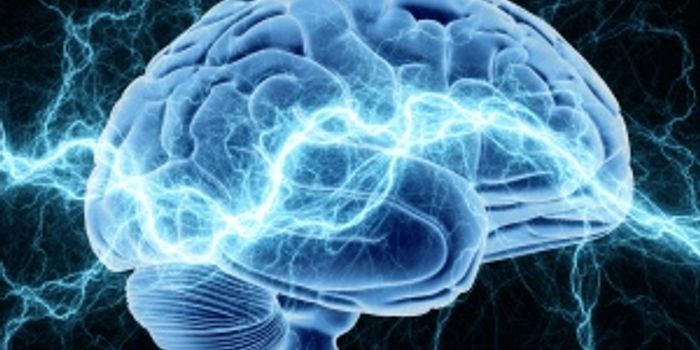 Language Predictability and Similarities in Brain Activity