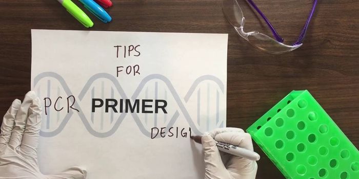 PCR Primer Design Pointers