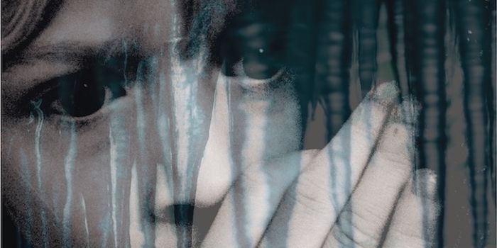 Beyond Fight or Flight: How the Brain's Freeze Response Should Shape the Judicial System