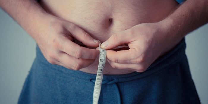 Increased Belly Fat with Aging Linked to Reduced Mental Flexibility