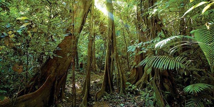 Can technology keep carbon out of the atmosphere?