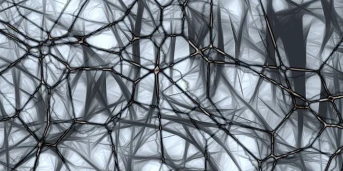 Revealing a Link Between a Common Virus and Parkinson's Disease