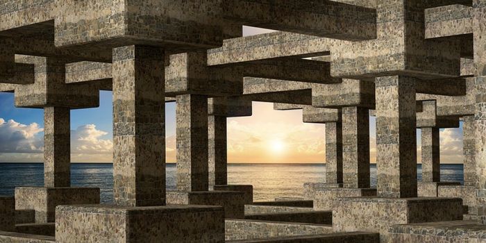 A Lost City of the Amazon is Revealed