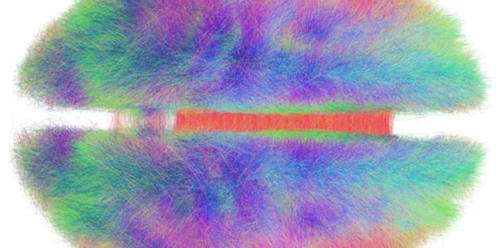 The More You Scan, The More You Know...