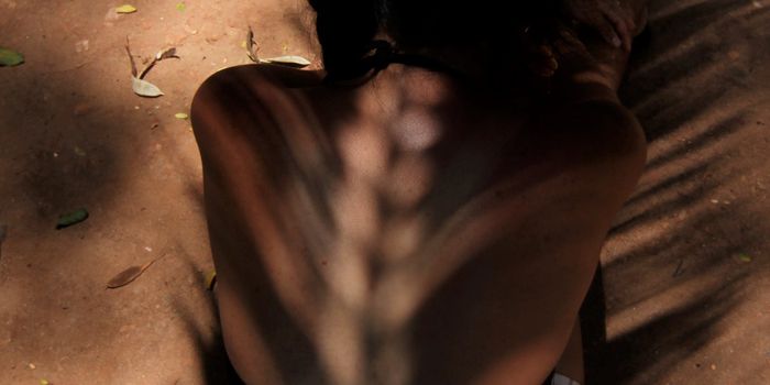 Cellular "Cleaning Crews" Get Busy During Spinal Cord Injury