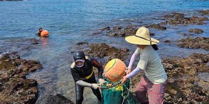 Genetic 'Superpowers' in Korean Women Divers