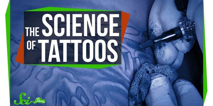 How Tattoos (and Tattoo Removal) Work