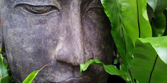 Meditation May Be Helpful Addition To Care For Heart Disease Patients