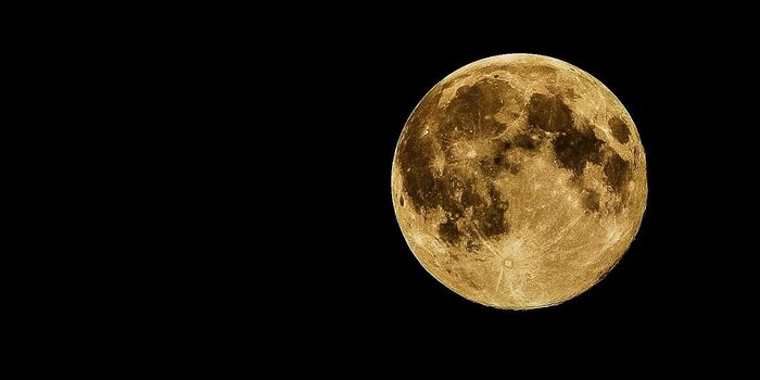 China Willing to Share New Moon Samples