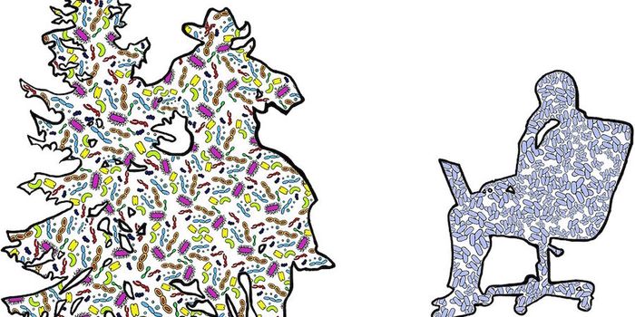 The Unique Microbial Signature of Cities