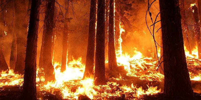 Concerns about carbon monoxide concentrations from CA's wildfires