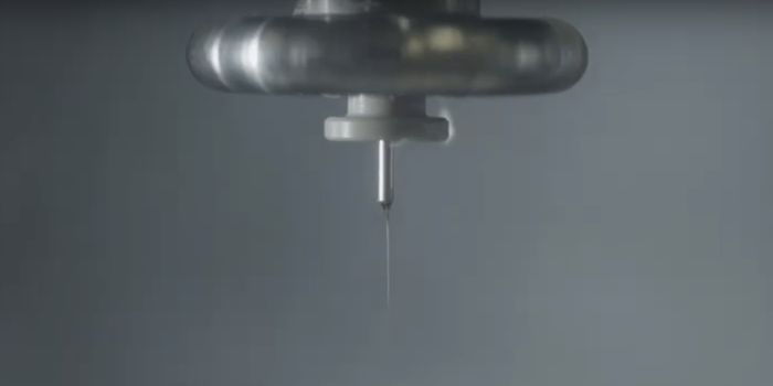 Growing Cells on Scaffolding as an Alternative to Animal Models