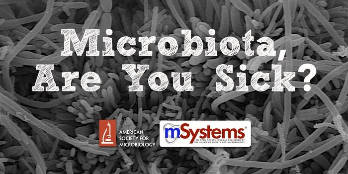 Tapping Into the Microbiome and its Influence on Health
