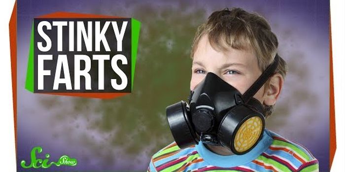 What Makes Farts Smell Terrible