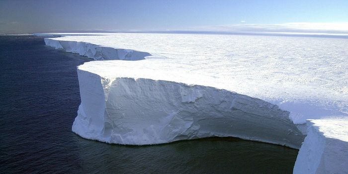 Scientists Stumble Upon Life Below Ice Shelf