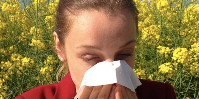 Chronic Allergies can Change Cells