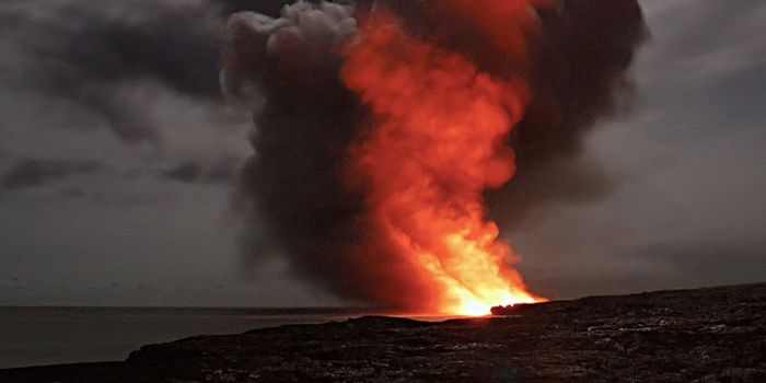 Microbial Life Shows Mass Extinction Really Stinks