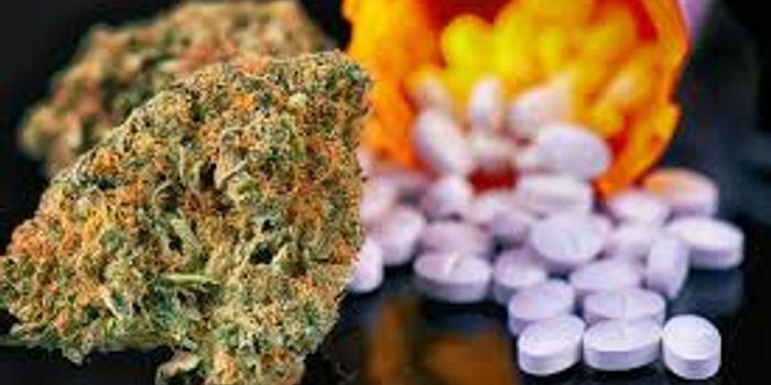 The Use of Cannabis in Conjunction with Opioids