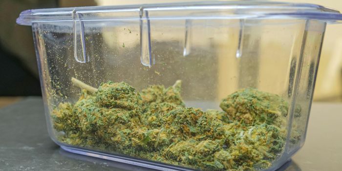 Survey Finds Most Women with Disabilities Believe Cannabis is Harmless