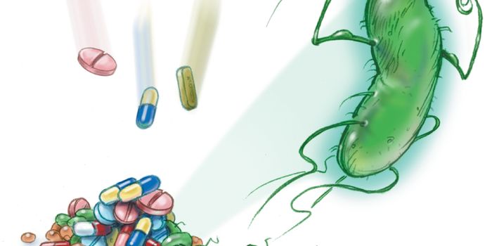 Cocktail of Common Antibiotics Fights E. coli Infections